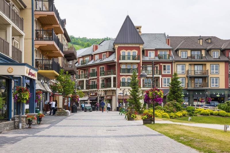 Blue Mountain 2 Story Loft Appartement *