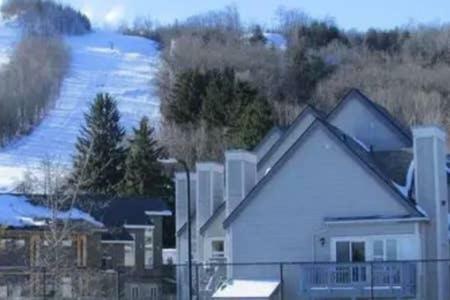 Blue Mountain 2 Story Loft Appartement